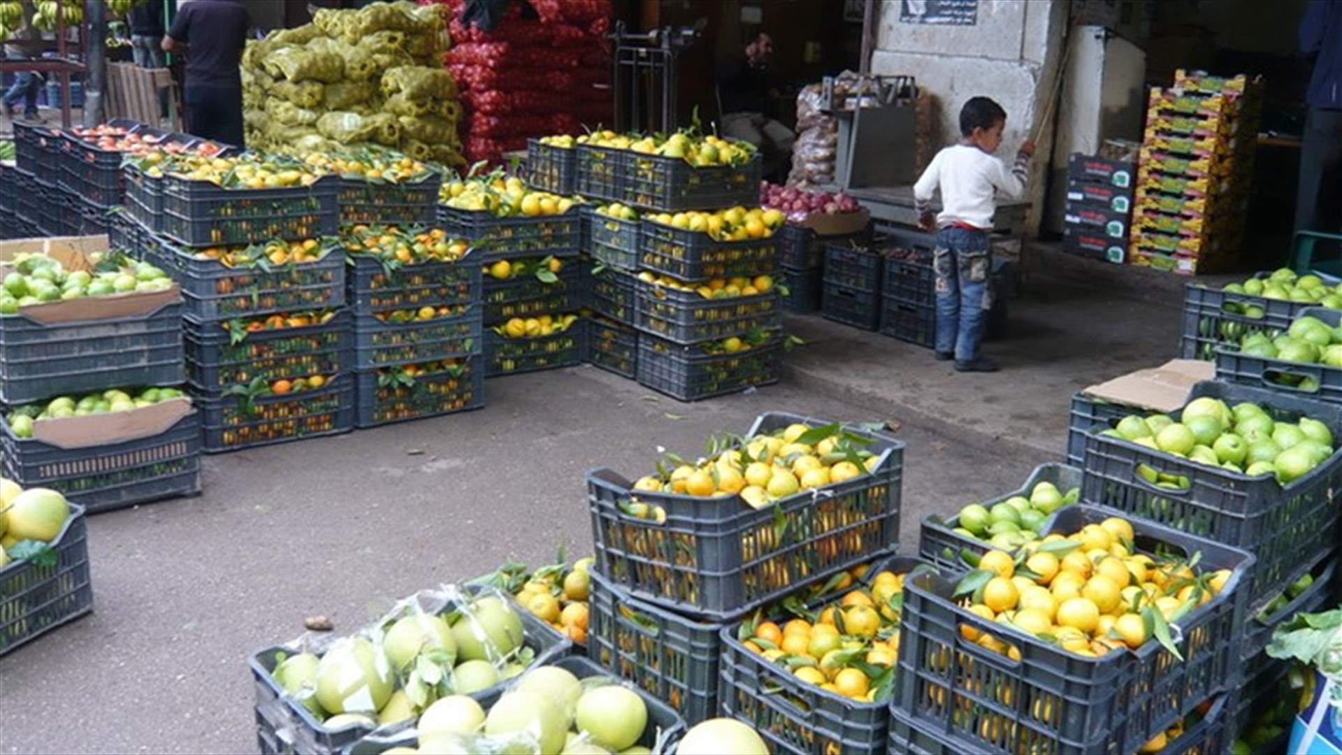 مزارعو الخضار والفاكهة في عكار طالبوا بمنع عبور الشاحنات السورية الى لبنان