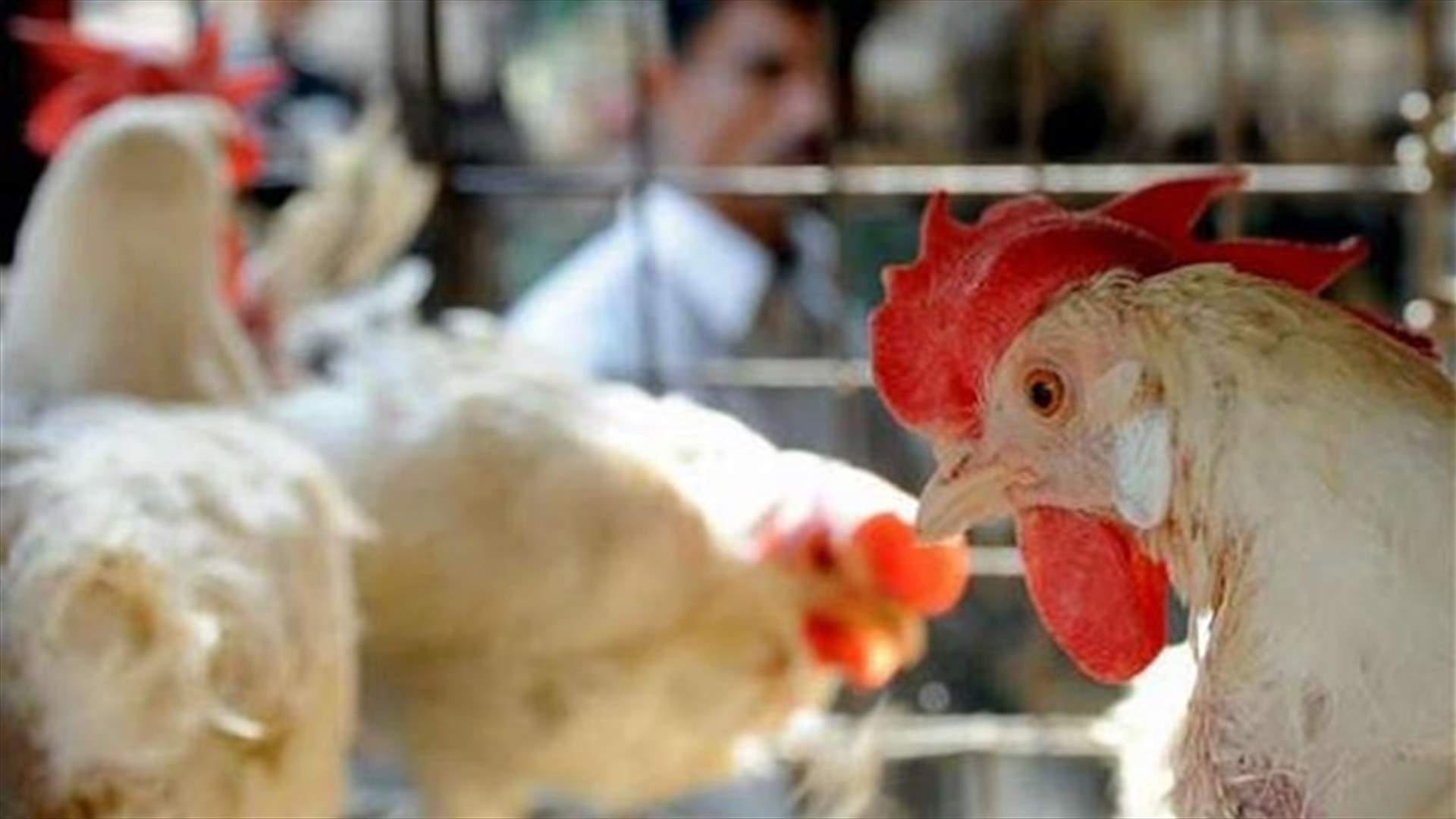  البؤرة المصابة في النبي شيت ستبقى تحت الحجر الصحي لـ72 ساعة