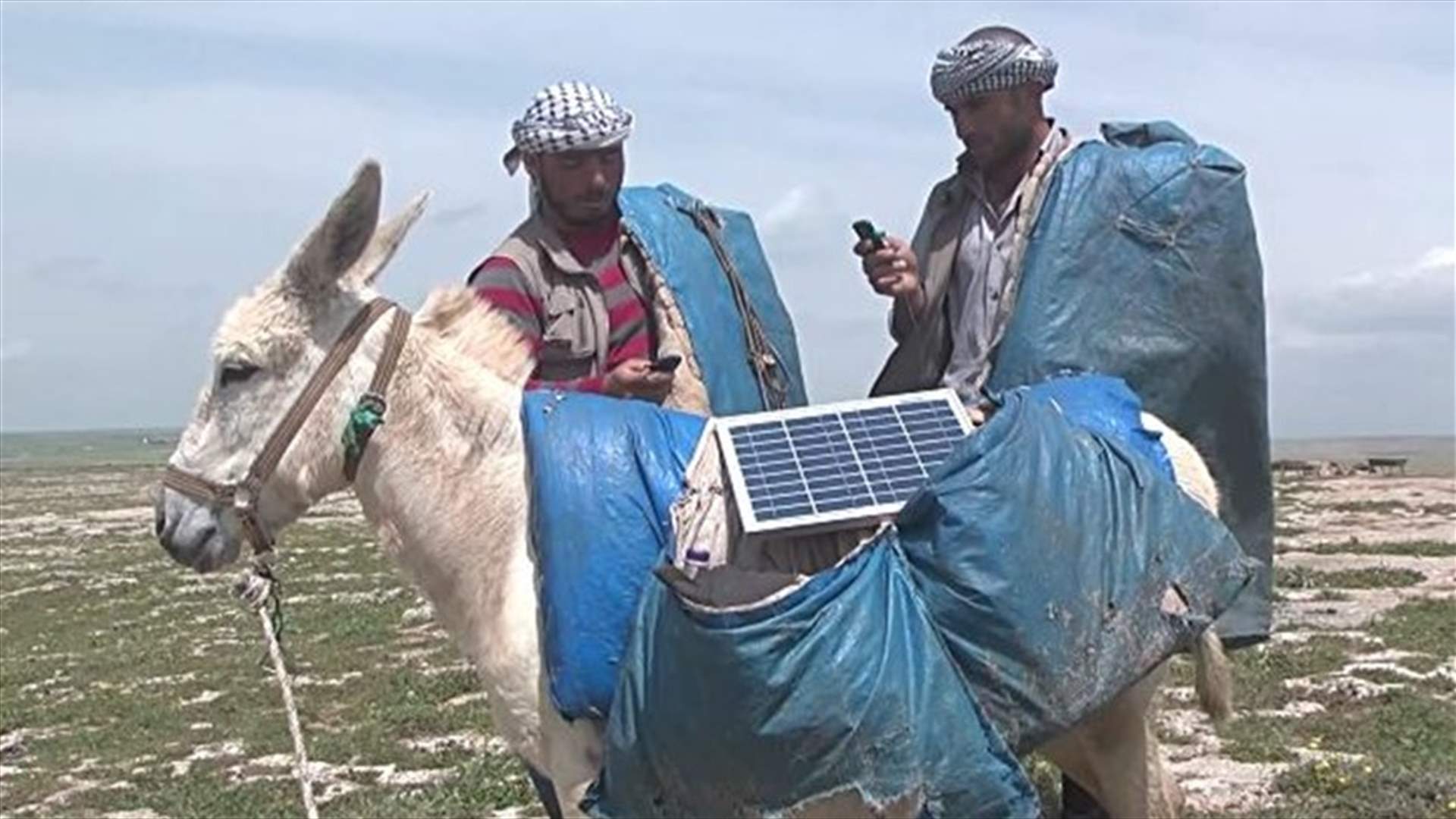 راعي وحمار وطاقة شمسية !