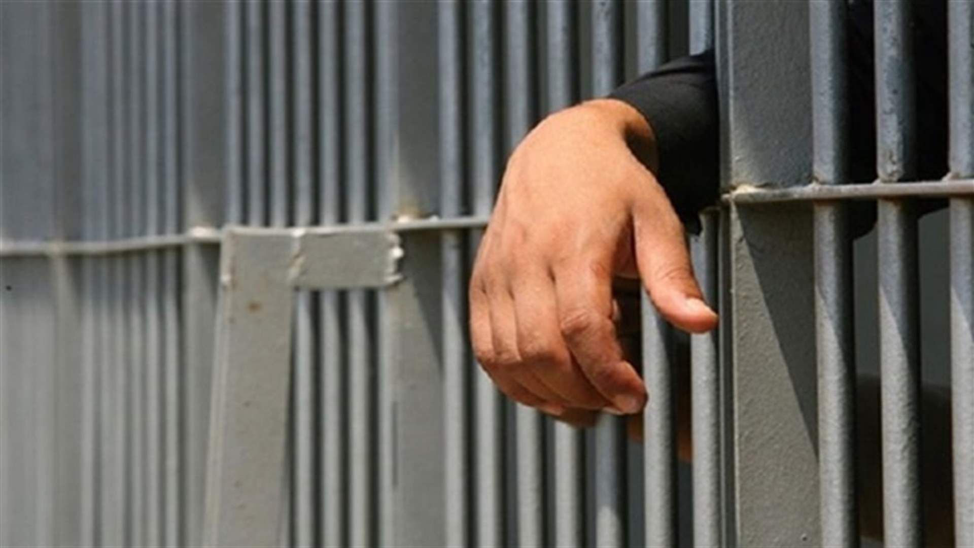 الجيش أخلى سبيل سوريين أوقفهم أمس في بشري