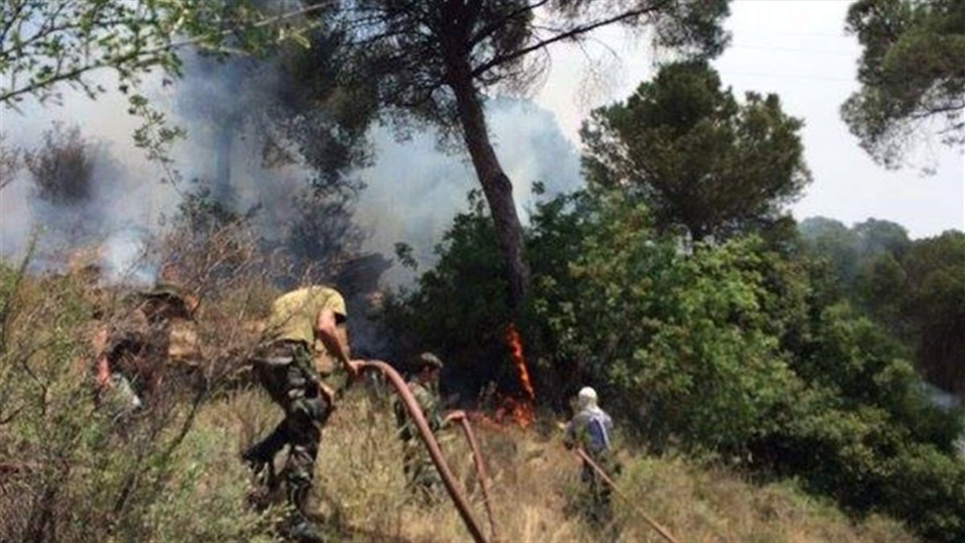 تجدد الحريق في أحراج جعيتا