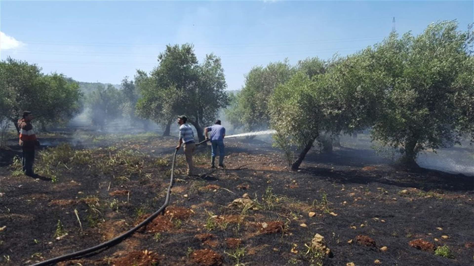 حريق كبير في خراج بلدة عيون الغزلان - عكار