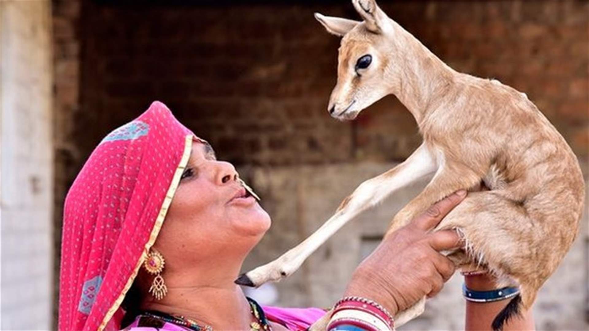 [PHOTOS] Animal-Loving Mum Breast Feeds Orphaned Deer Alongside Her Own Baby Son