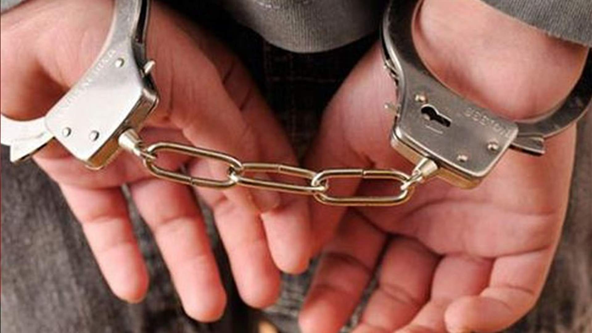 توقيف 1178 شخصا بتهم الارهاب والمخدرات والسرقة في شهر نيسان