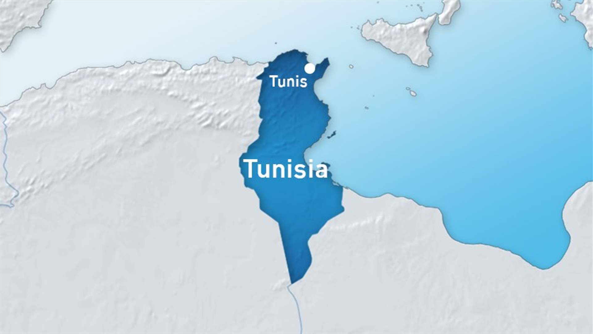 Tunisia security forces kill two suspected militants near Tunis - source