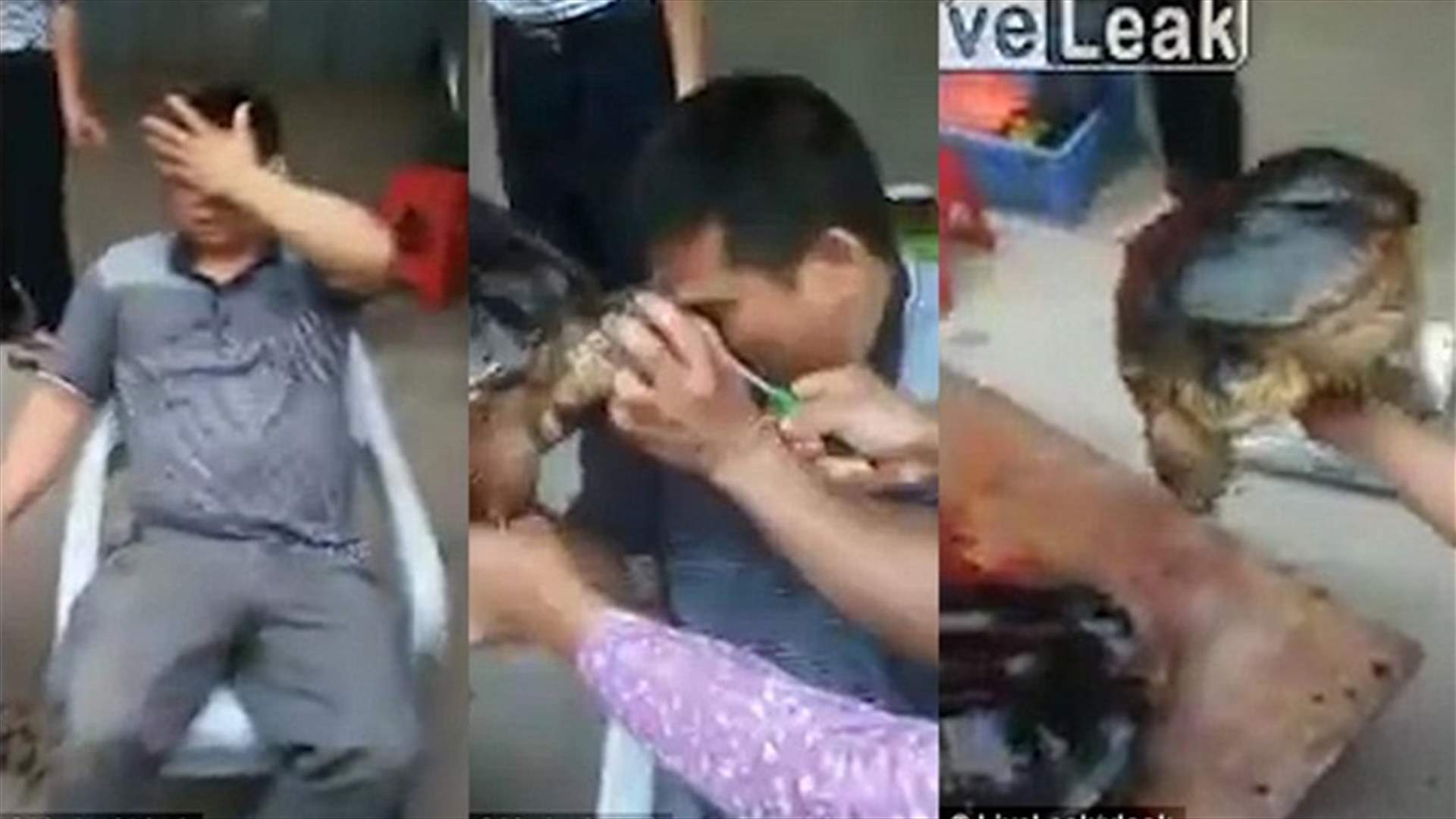 بالفيديو: قطّع السلحفاة إلى نصفين فعضّته بشراسة