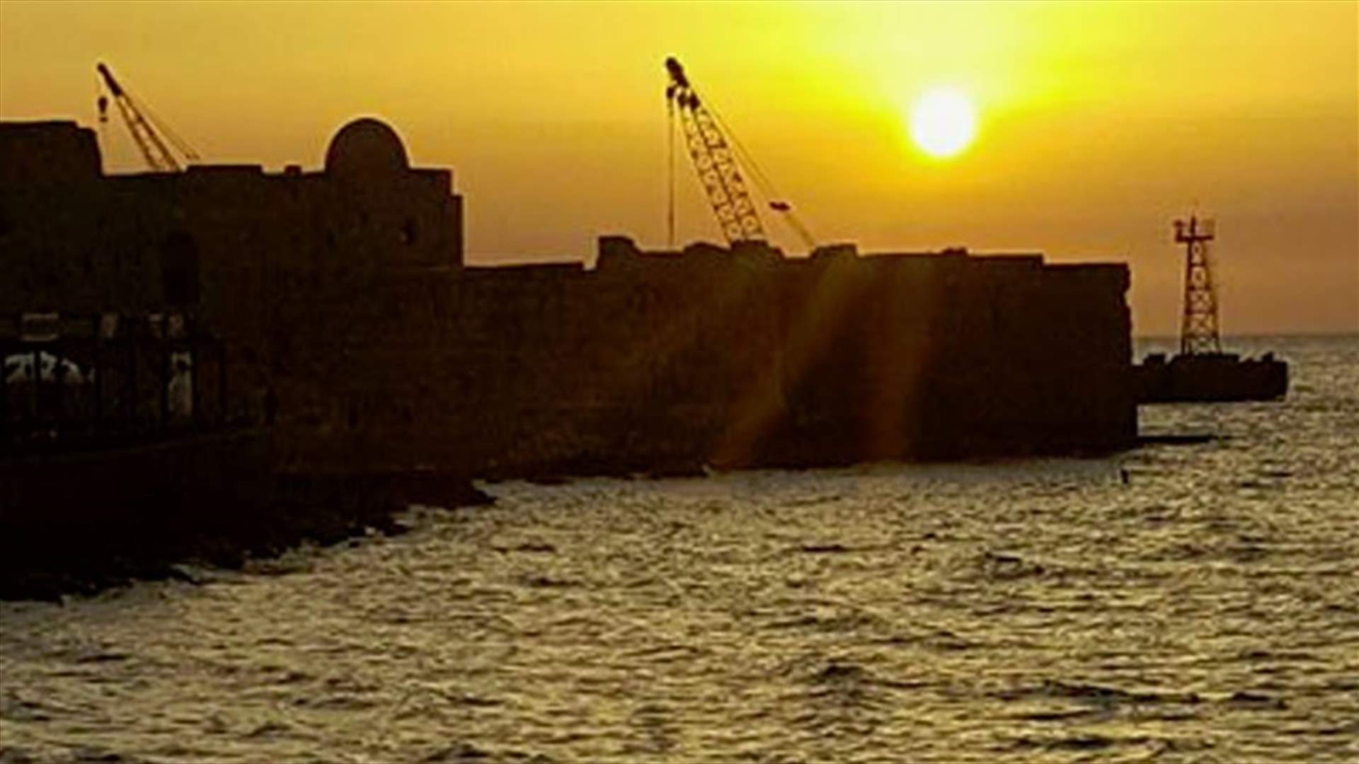 الديمقراطية وسمك صيدا
