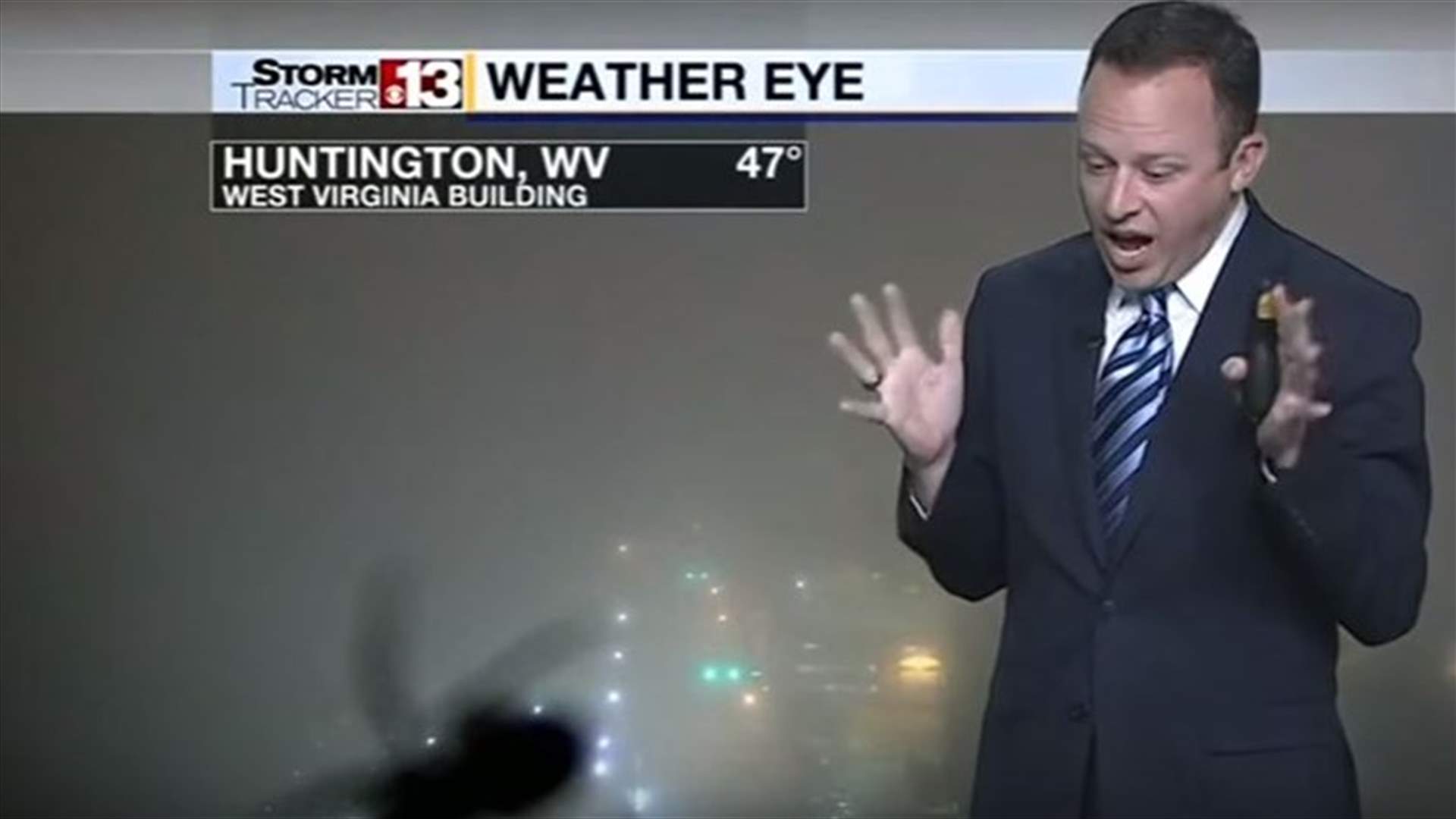 [VIDEO] Weatherman Screams In Terror On Live TV As Spider Crawls On Camera Lens