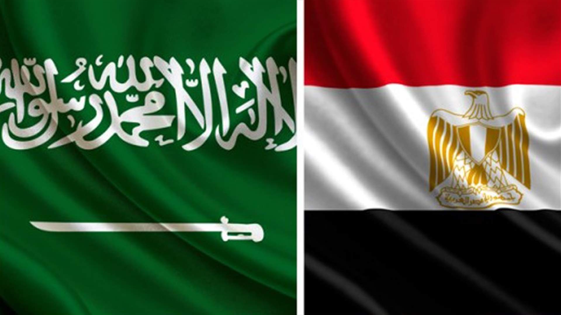 مصر تقر اتفاق منحة سعودية بقيمة 2.5 مليار دولار