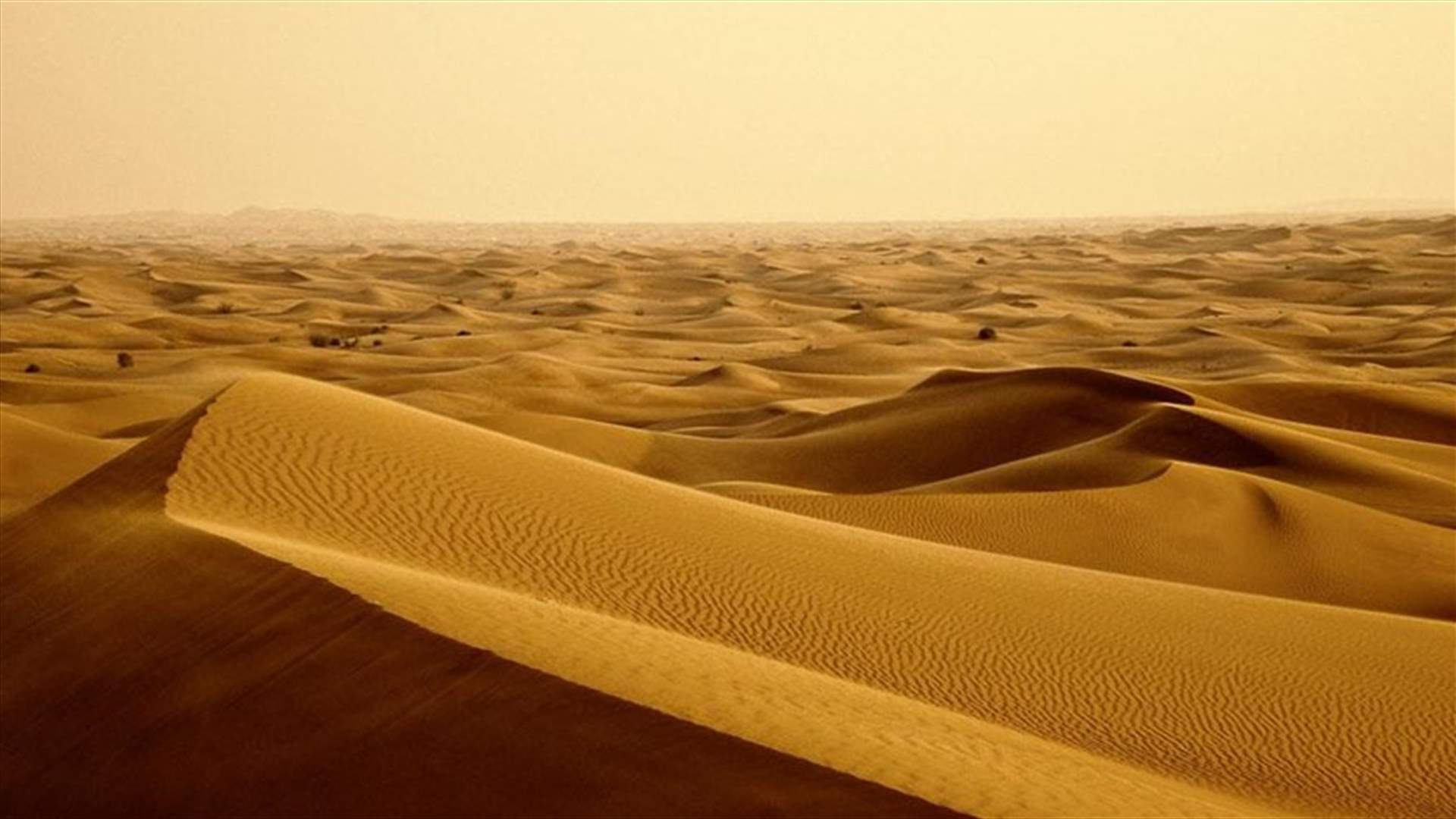 عام 2050.. اخلاء سكان شمال إفريقيا والشرق الأوسط 