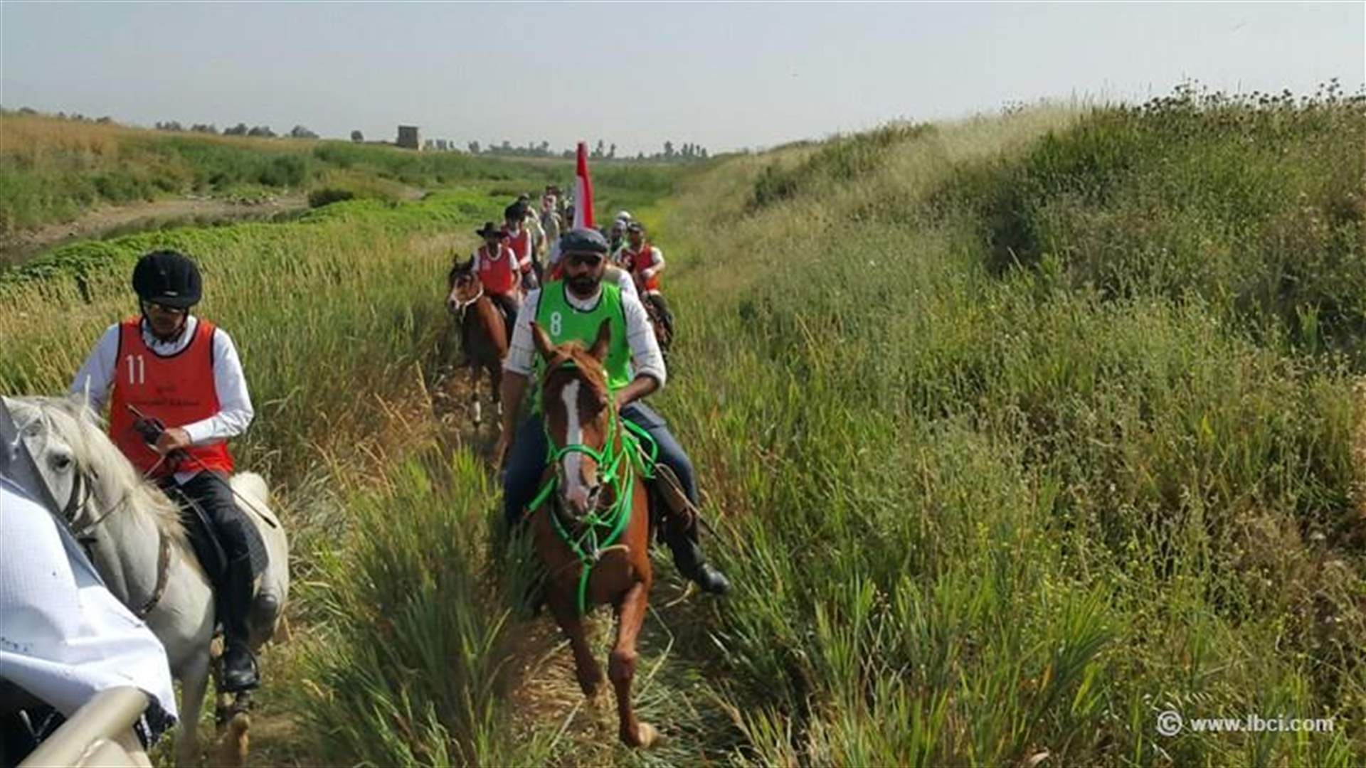 ماراتون للخيول العربية في سهل البقاع