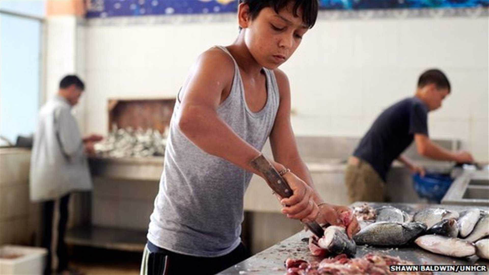 Syrian children are breadwinners in Lebanon