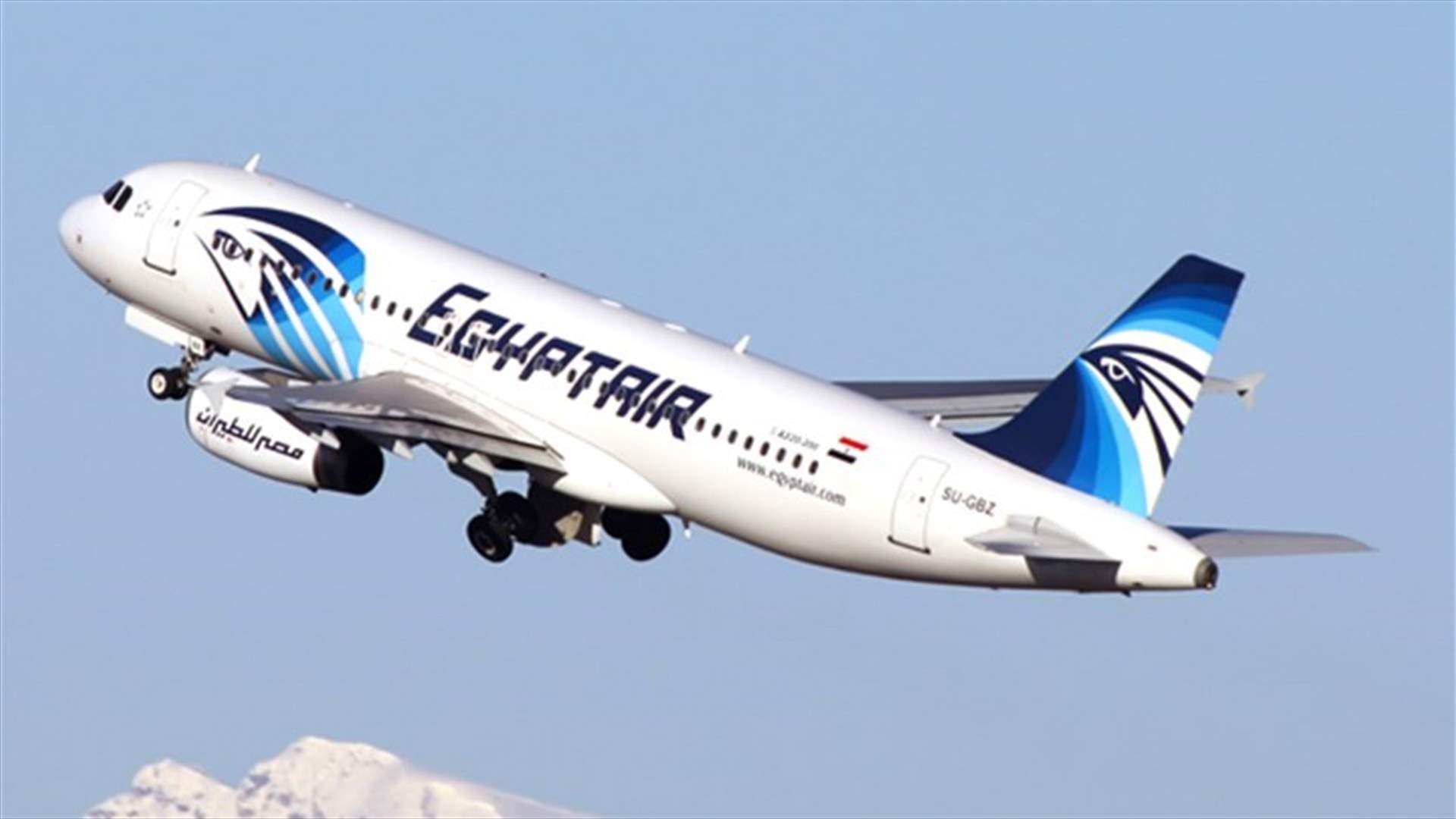Security hoax forces EgyptAir plane to make emergency landing in Uzbekistan