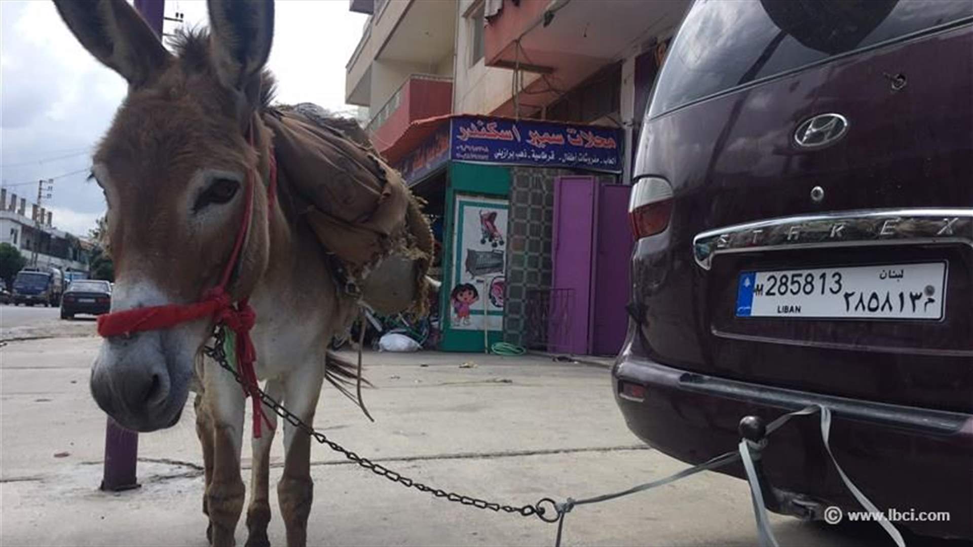 بس بلبنان...