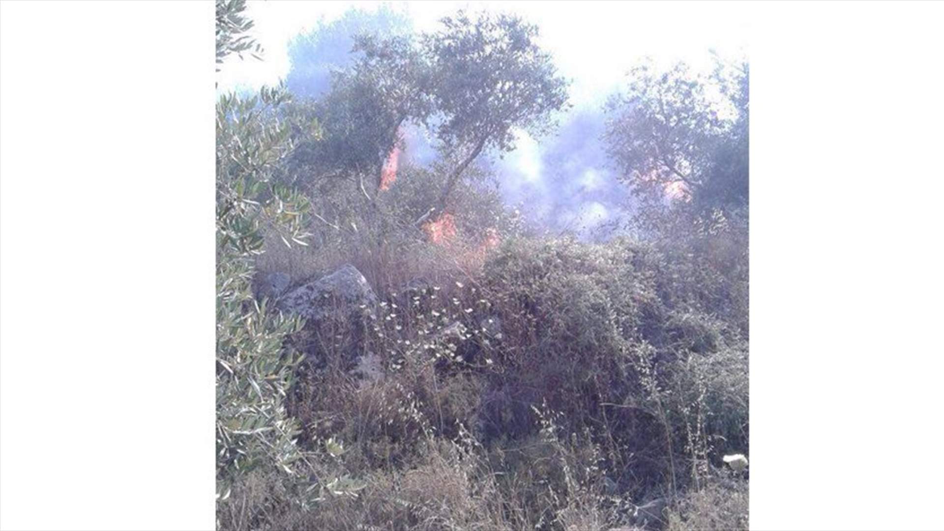 [PHOTOS] Huge fire erupts in Akkar’s Mashha 