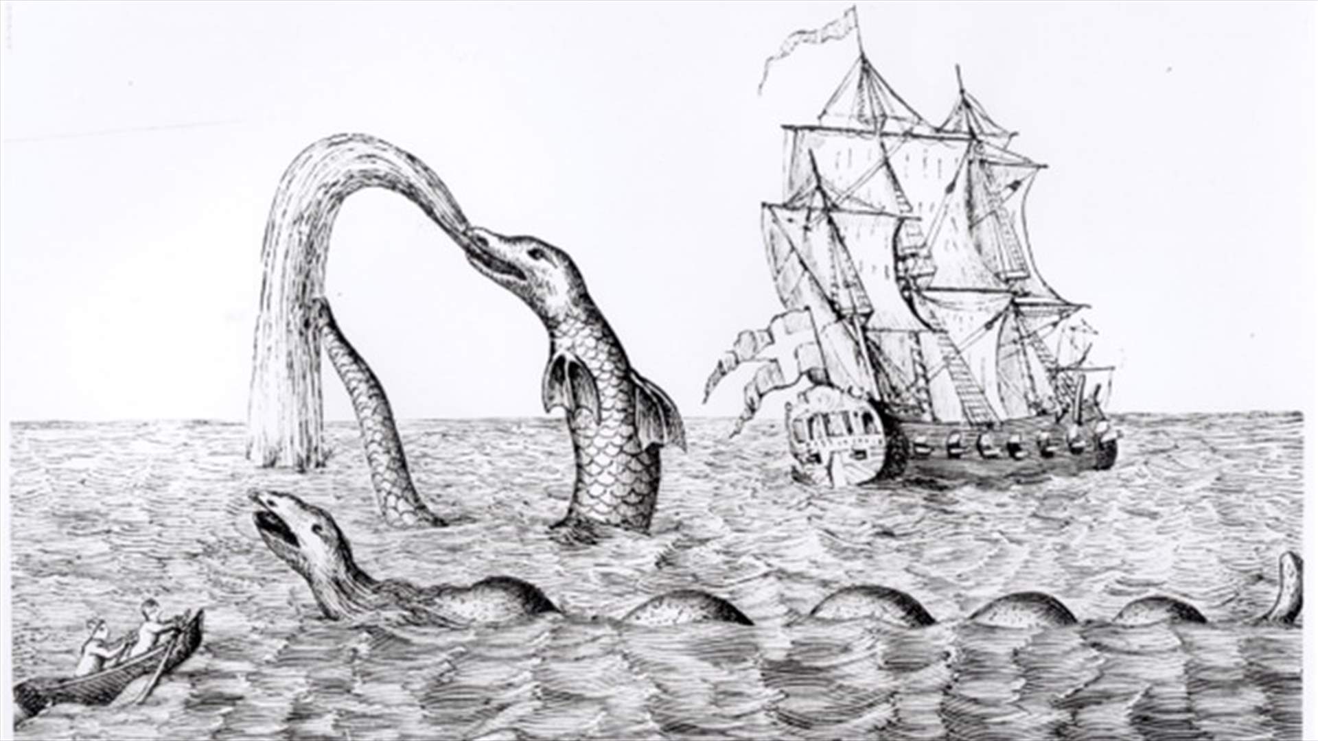 بالفيديو: اليكم حلّ لغز وحش البحر!