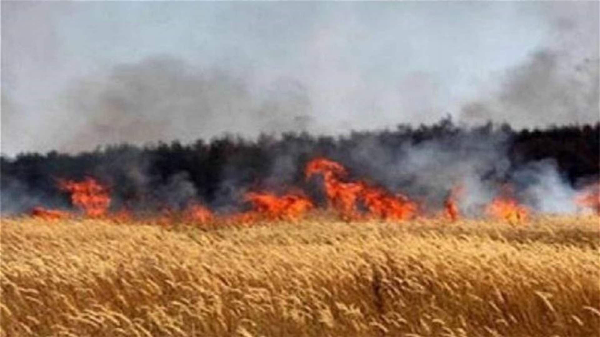 حريق في سهل مجدلون 