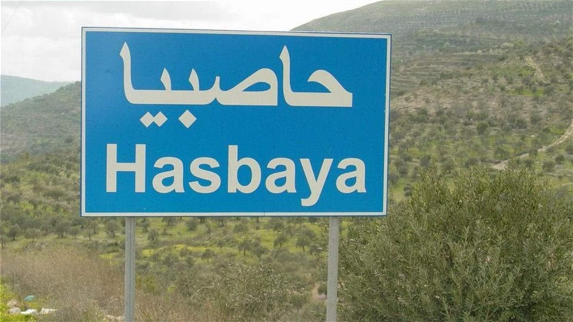 توقيف شخصين أثناء تنقيبهما عن آثار غرب حاصبيا