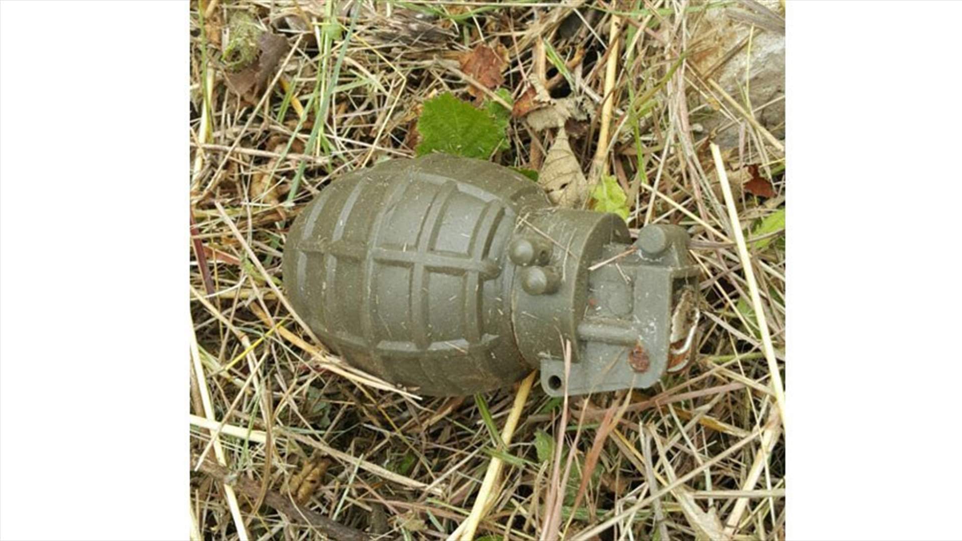 العثور على قنبلة يدوية بحديقة منزل القيادي بالتيار وديع عقل