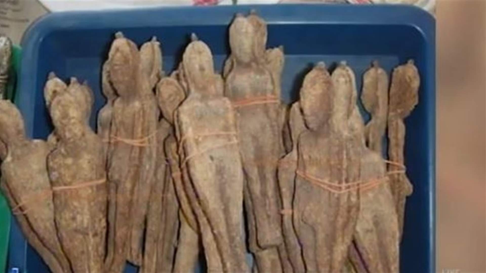 بالفيديو: شجرة حيّرت روّاد الانترنت... ثمارها على شكل امرأة شابة!