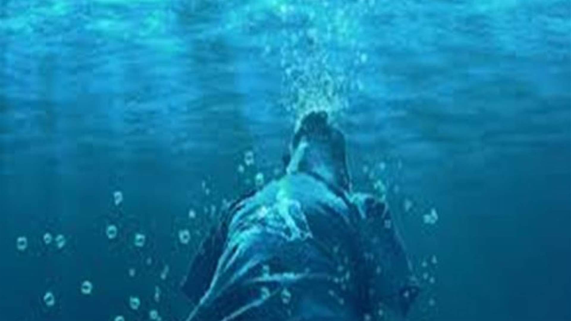 وفاة الشاب محمد بزي غرقا في بوسطن