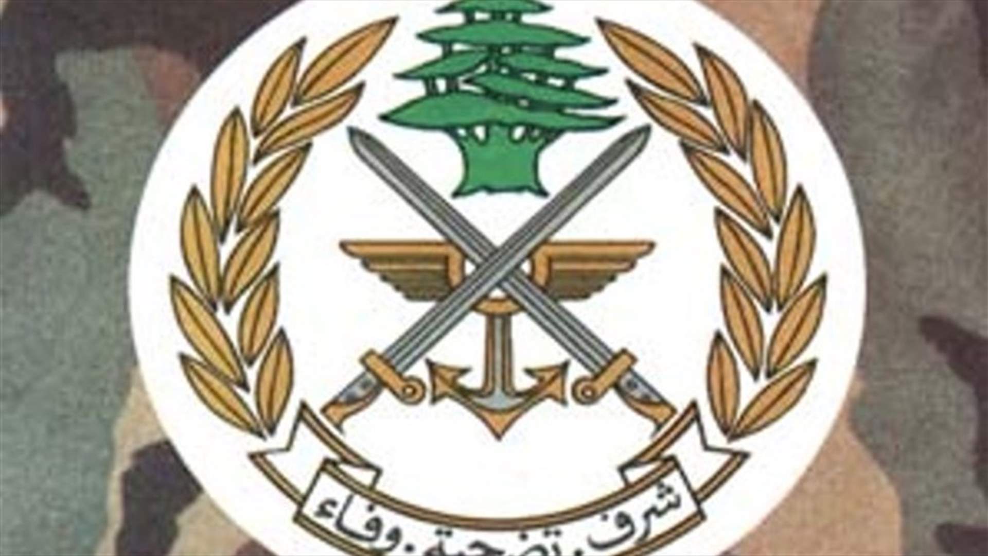 الجيش: طائرة استطلاع اسرائيلية تخرق الأجواء اللبنانية