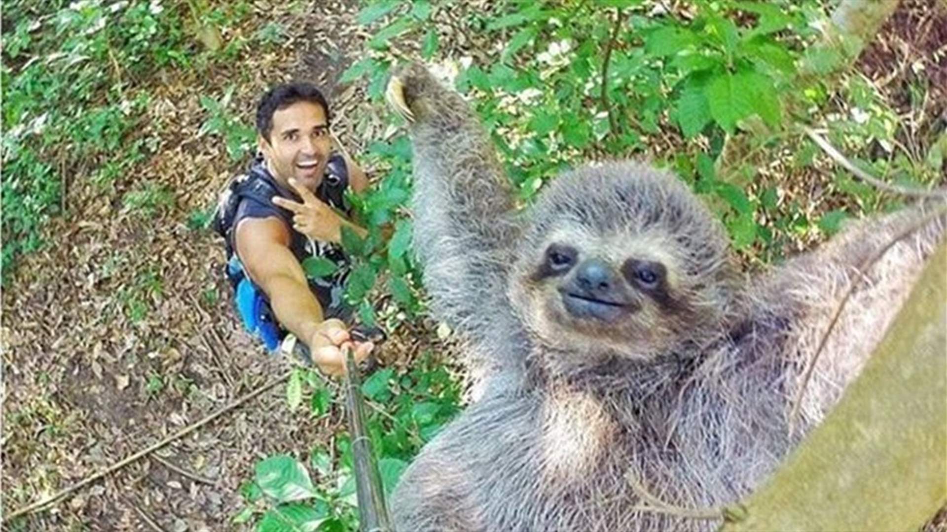 Man Wins the Internet with ‘Sloth Selfie’