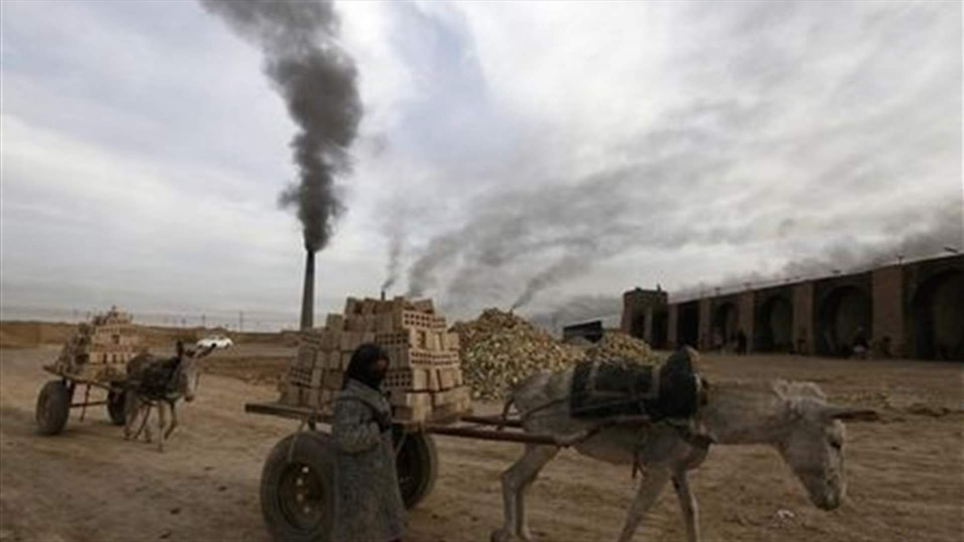 Child labor doubles in Iraq as violence, displacement hit incomes