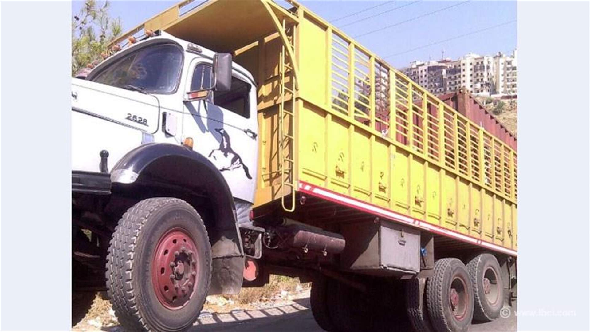 زوزو "قبّا" عالشاحنة كمان ! 