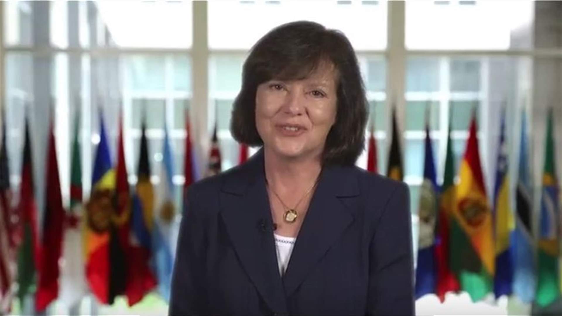 بالفيديو: تعرفوا إلى السفيرة الأميركية الجديدة لدى لبنان!
