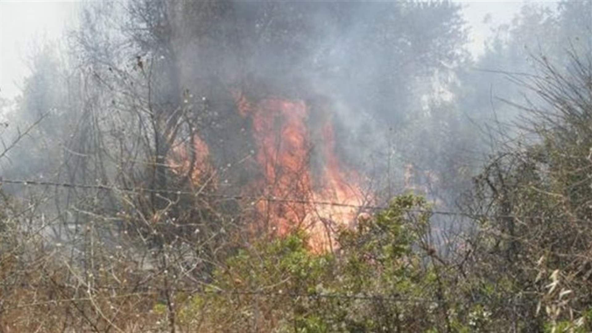 Civil Defence puts out fire in Aasoun