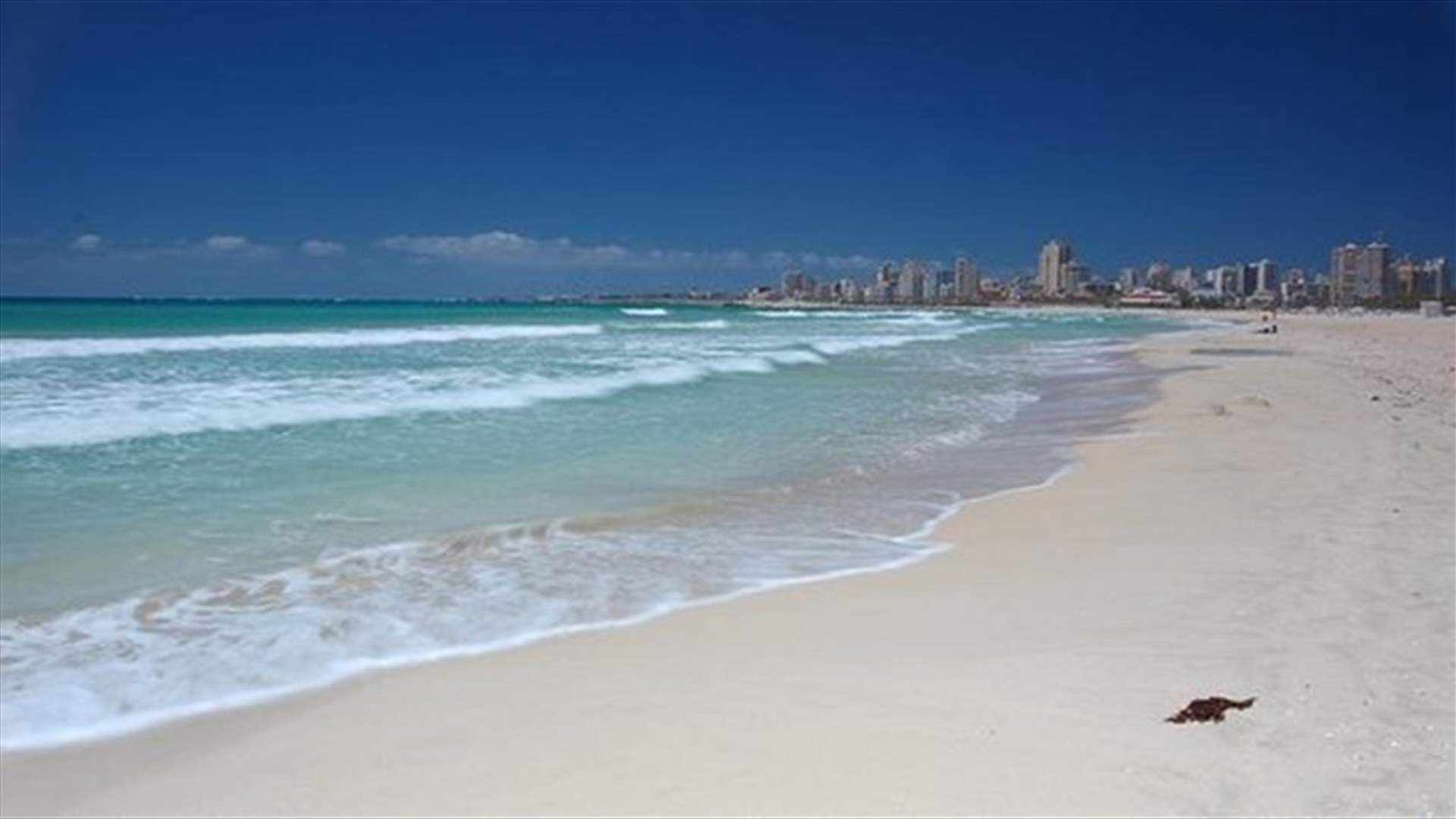Body of a Syrian national found on Tyre shore