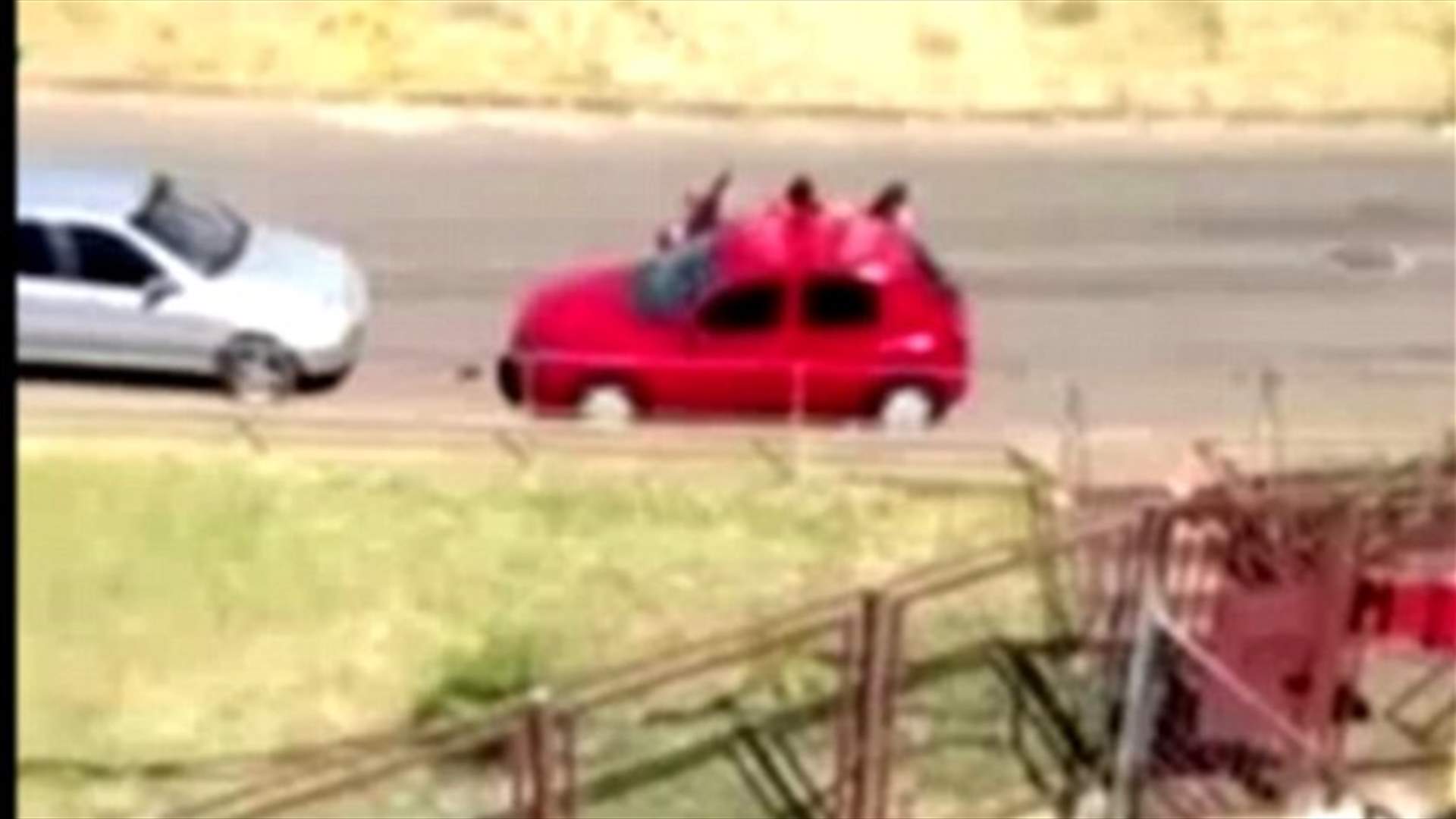  بالفيديو: عرّضت نفسها للخطر لتنقذ طفلها من اللصوص!