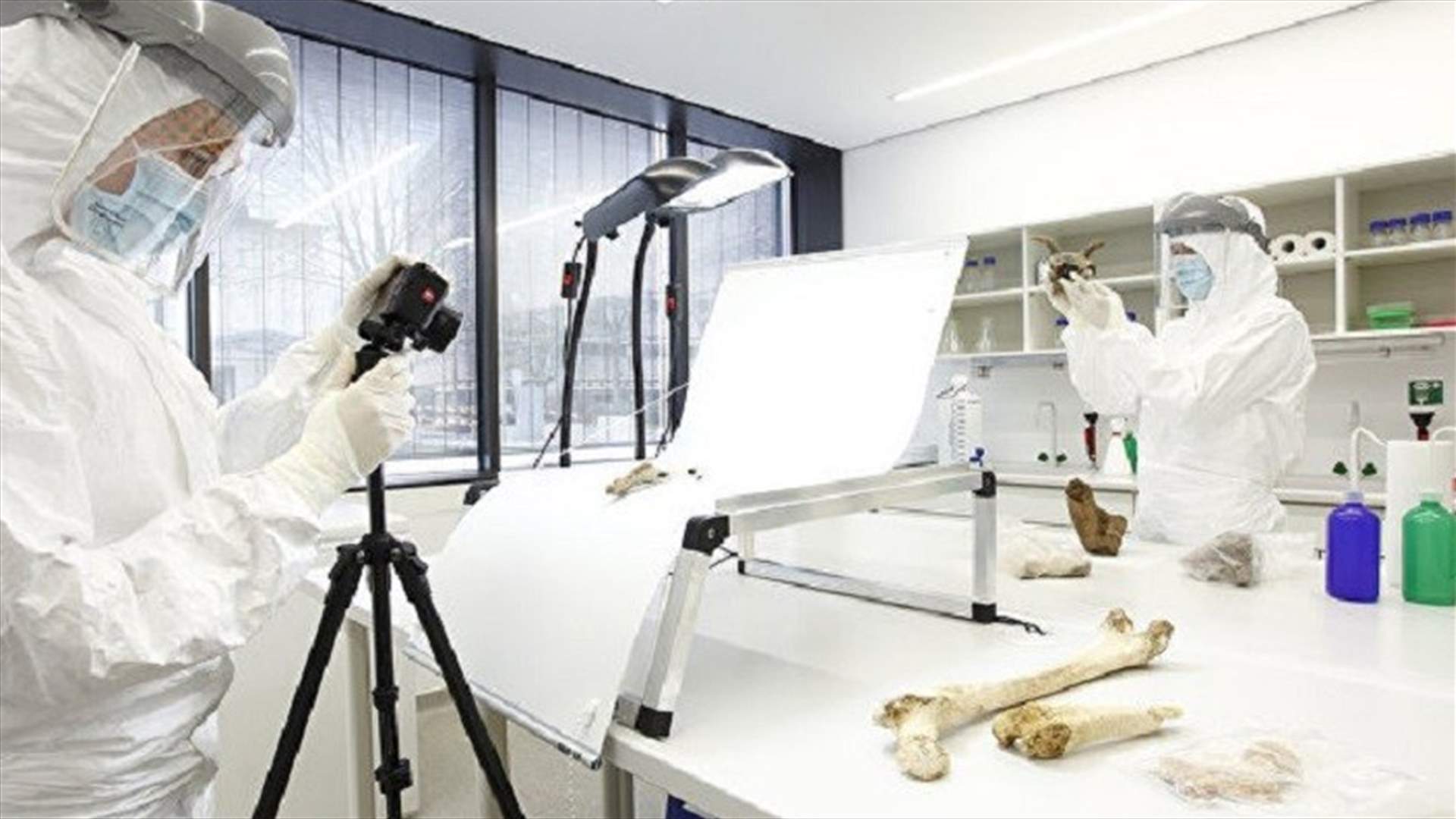 علماء يشككون في الأصول الآرية للأوروبيين