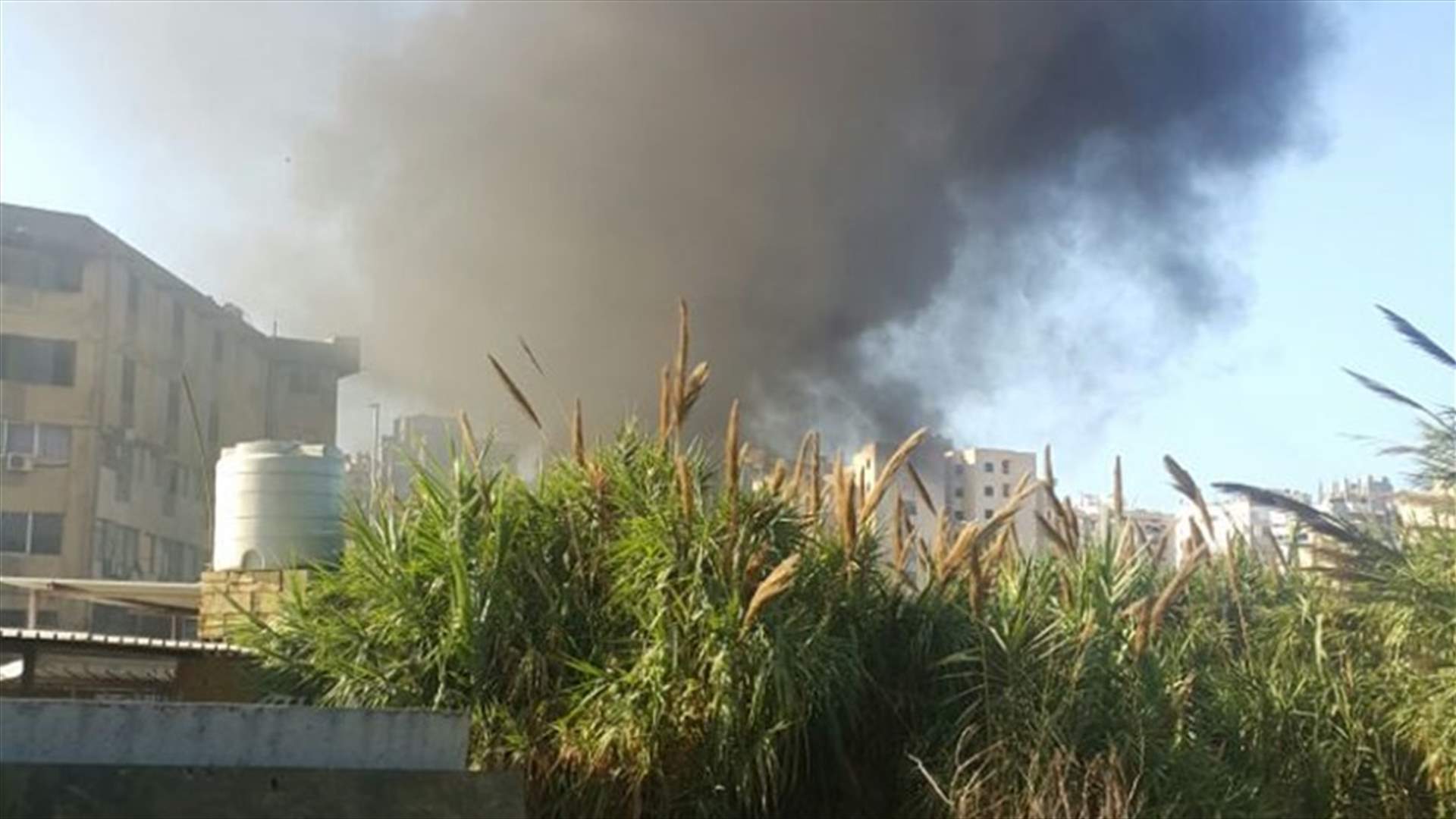 Unknown assailants set two cars on fire in El-Mina