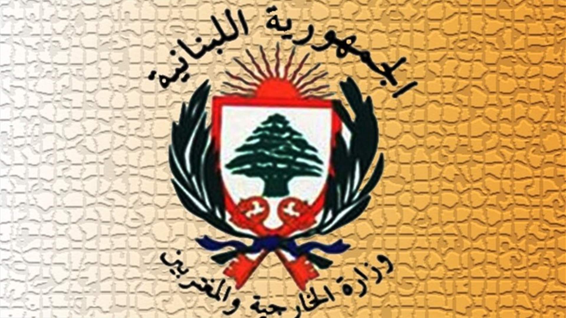وزارة الخارجية: لوقفة واحدة في مواجهة الإرهاب