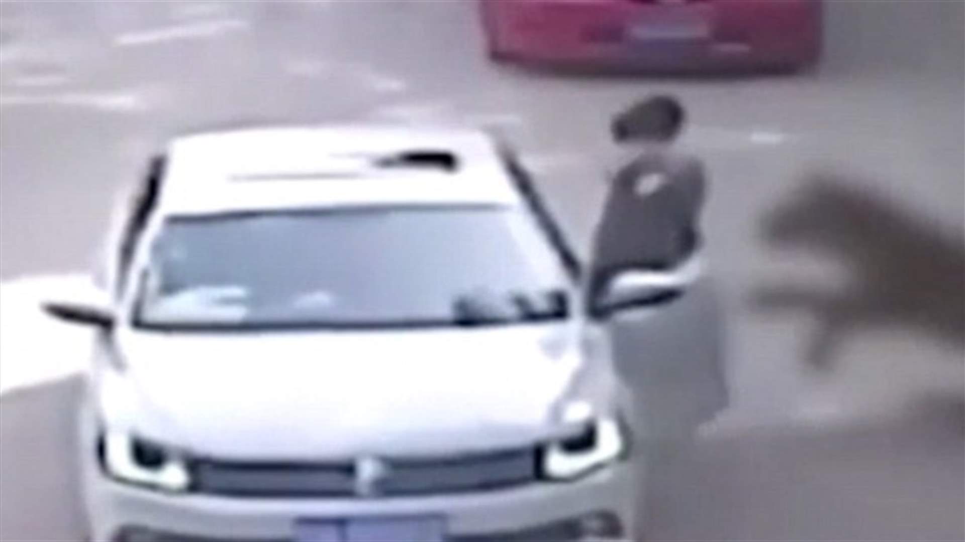 بالفيديو: خرجت من سيّارتها في حديقة للحيوانات البريّة... فوقعت الكارثة!