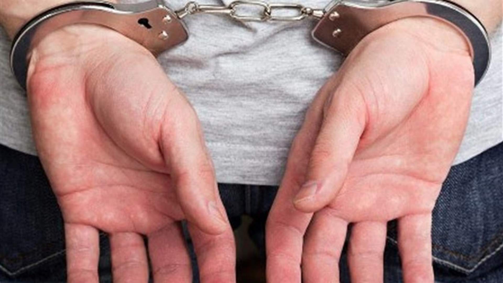 توقيف 8 سوريين في الدوير – النبطية