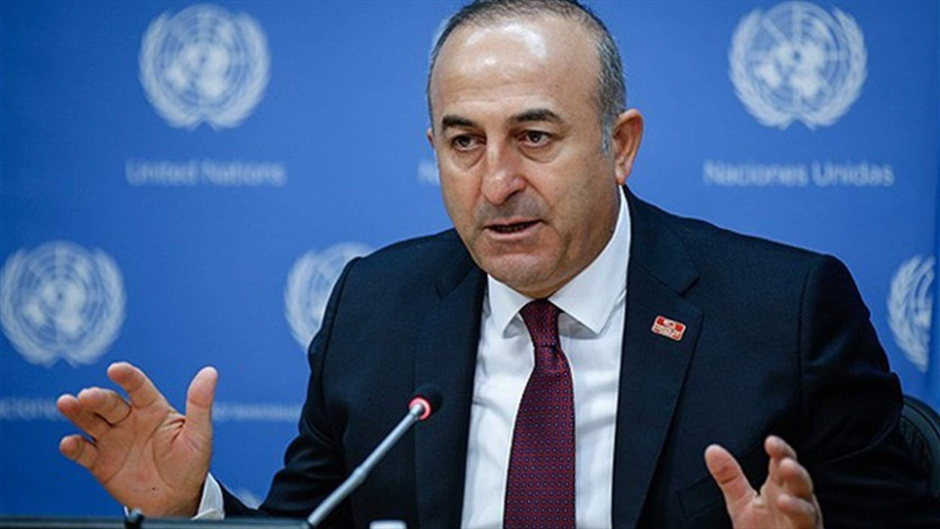 Turkish army better able to fight Islamic State after purges - foreign minister