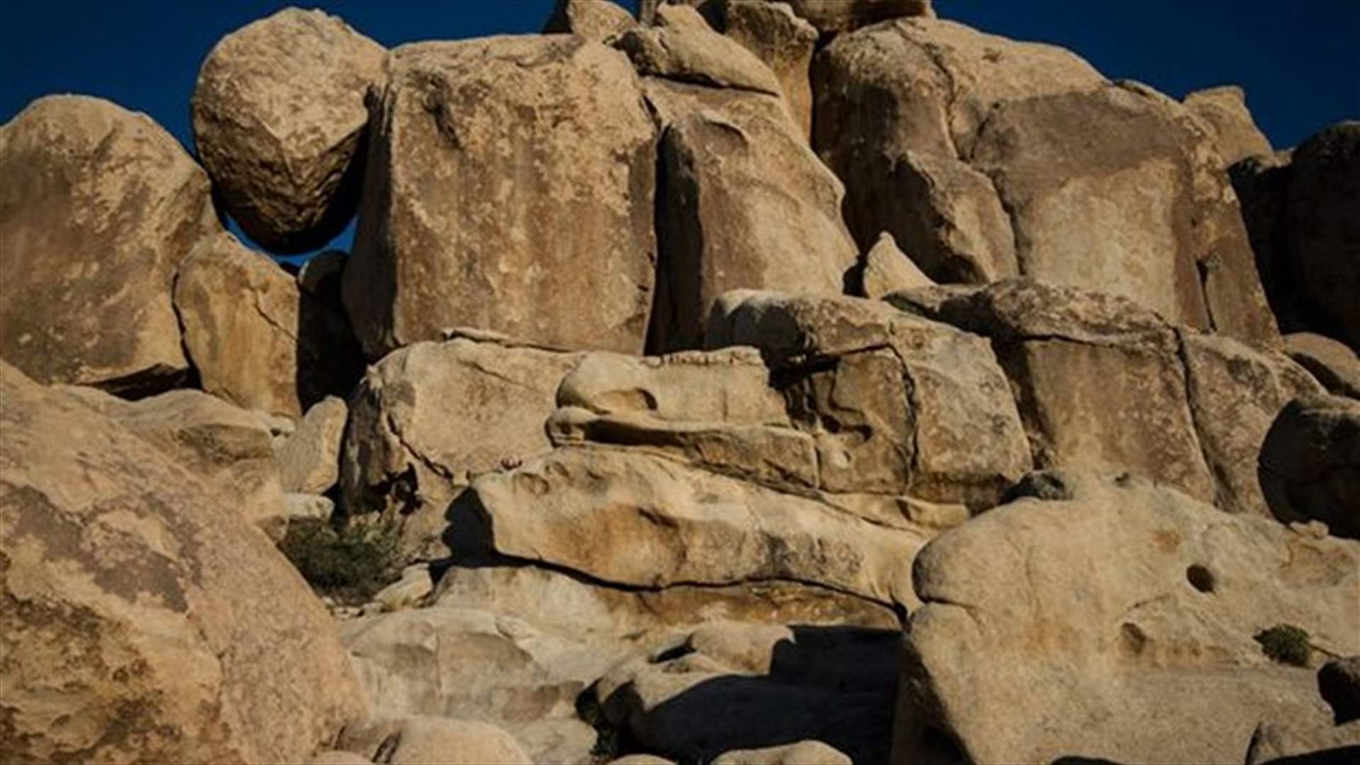 بالصور - فتاة تلوح بيديها... هل يمكنكم رؤيتها؟