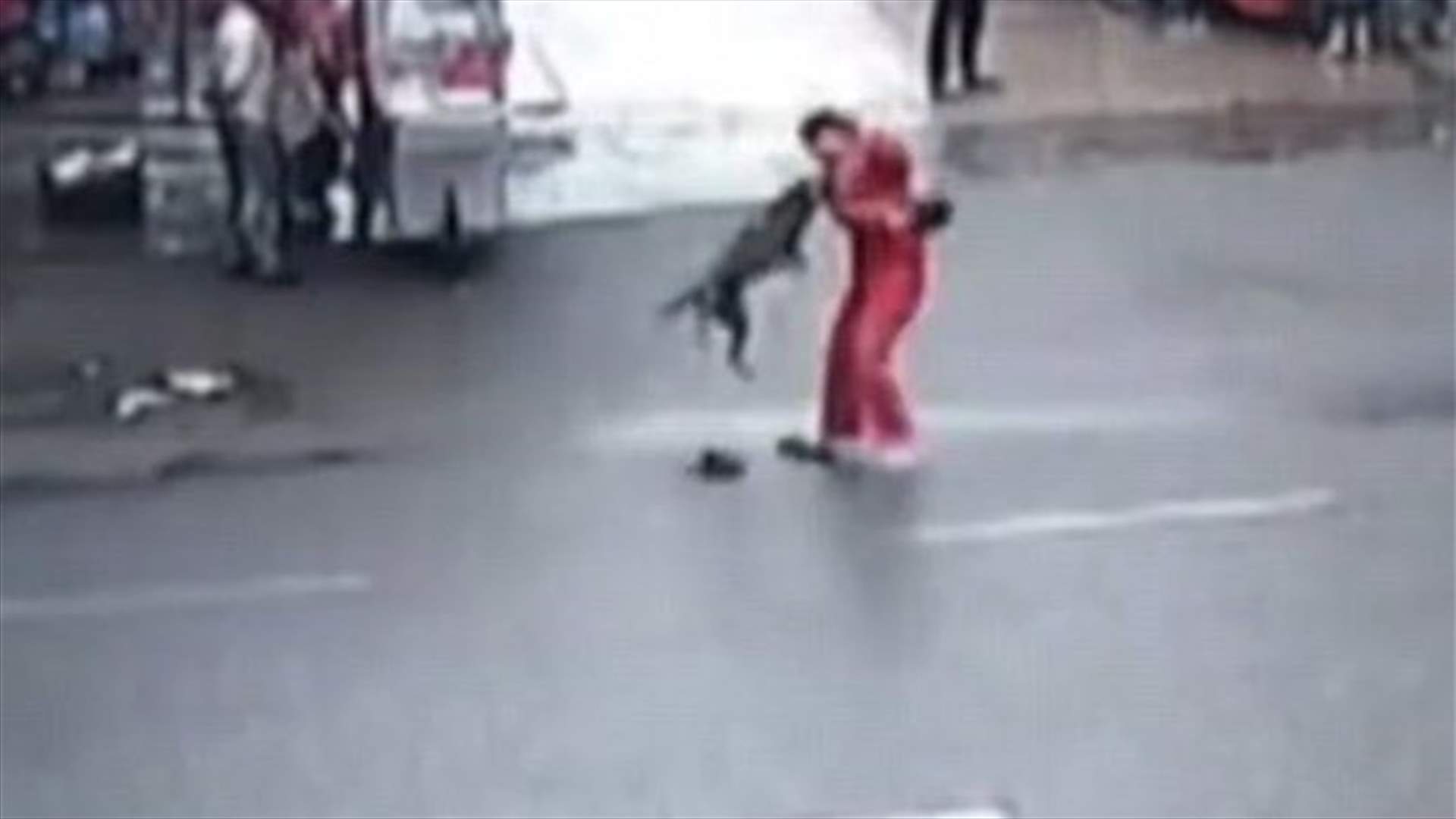 بالفيديو: كلب مفترس ينقضّ على أكثر من 20  شخصاً في الشارع!
