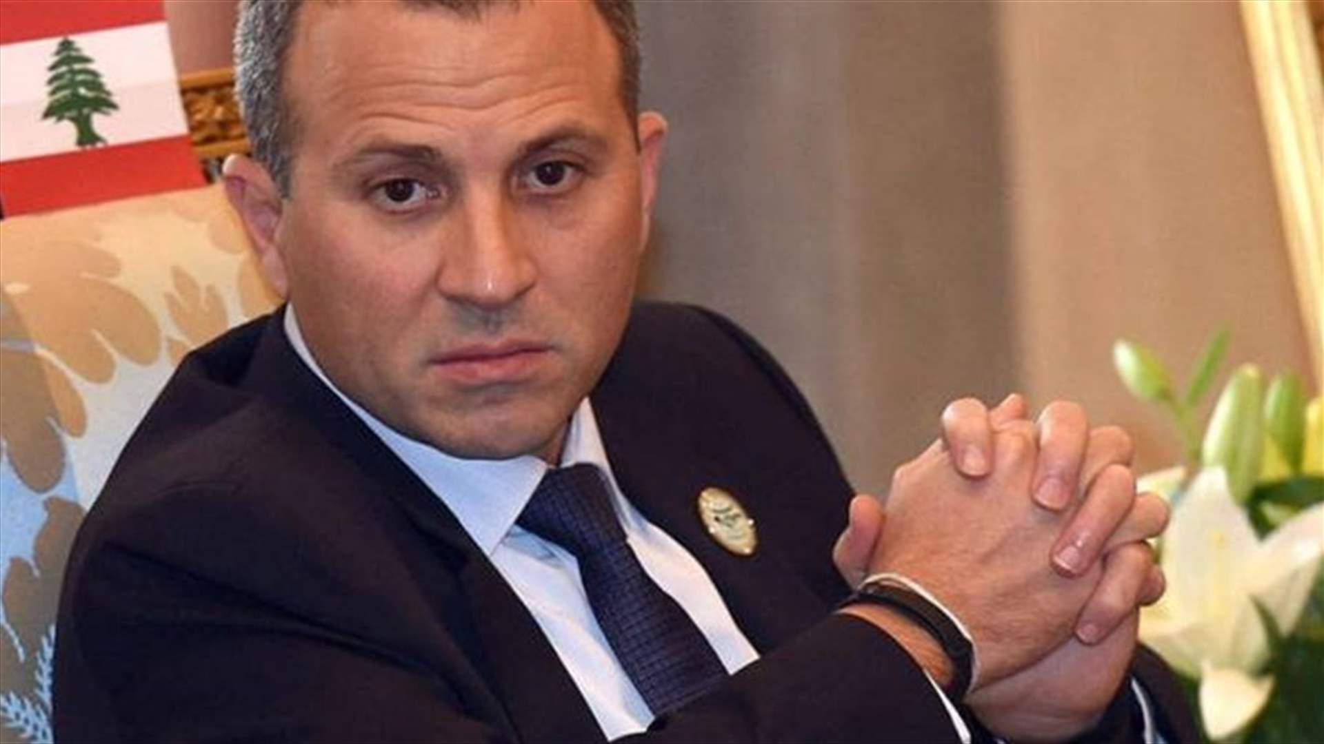 Bassil discusses oil dossier with Berri