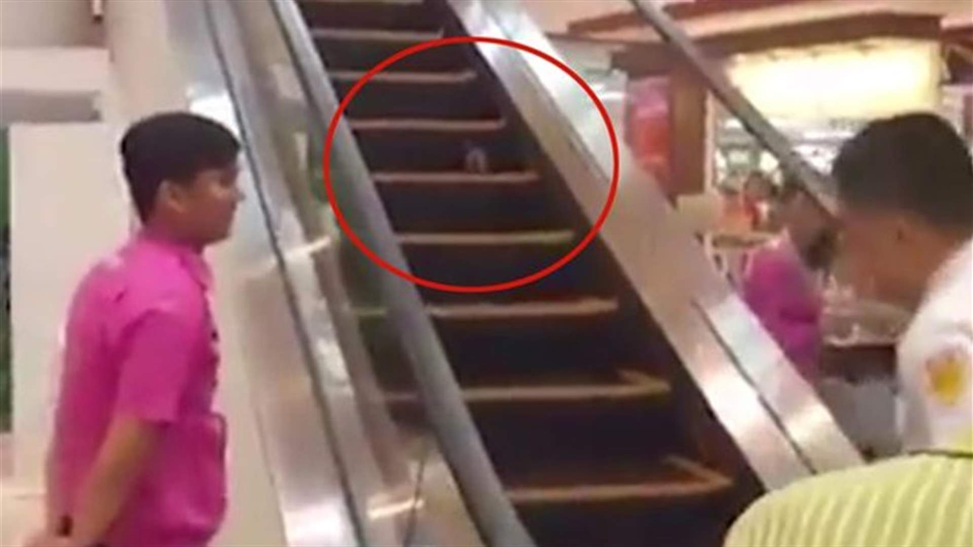 فيديو طريف... فأر يحاول تسلّق السلالم المتحركة!