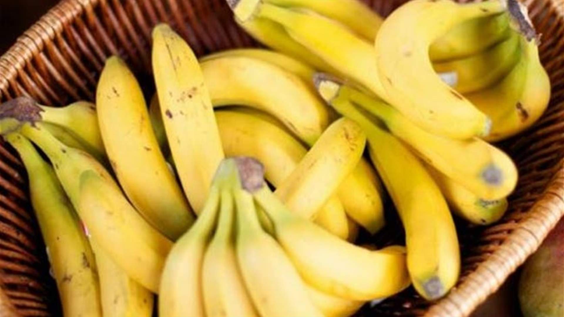 الموز مهدّد بالانقراض... وهذا هو السبب