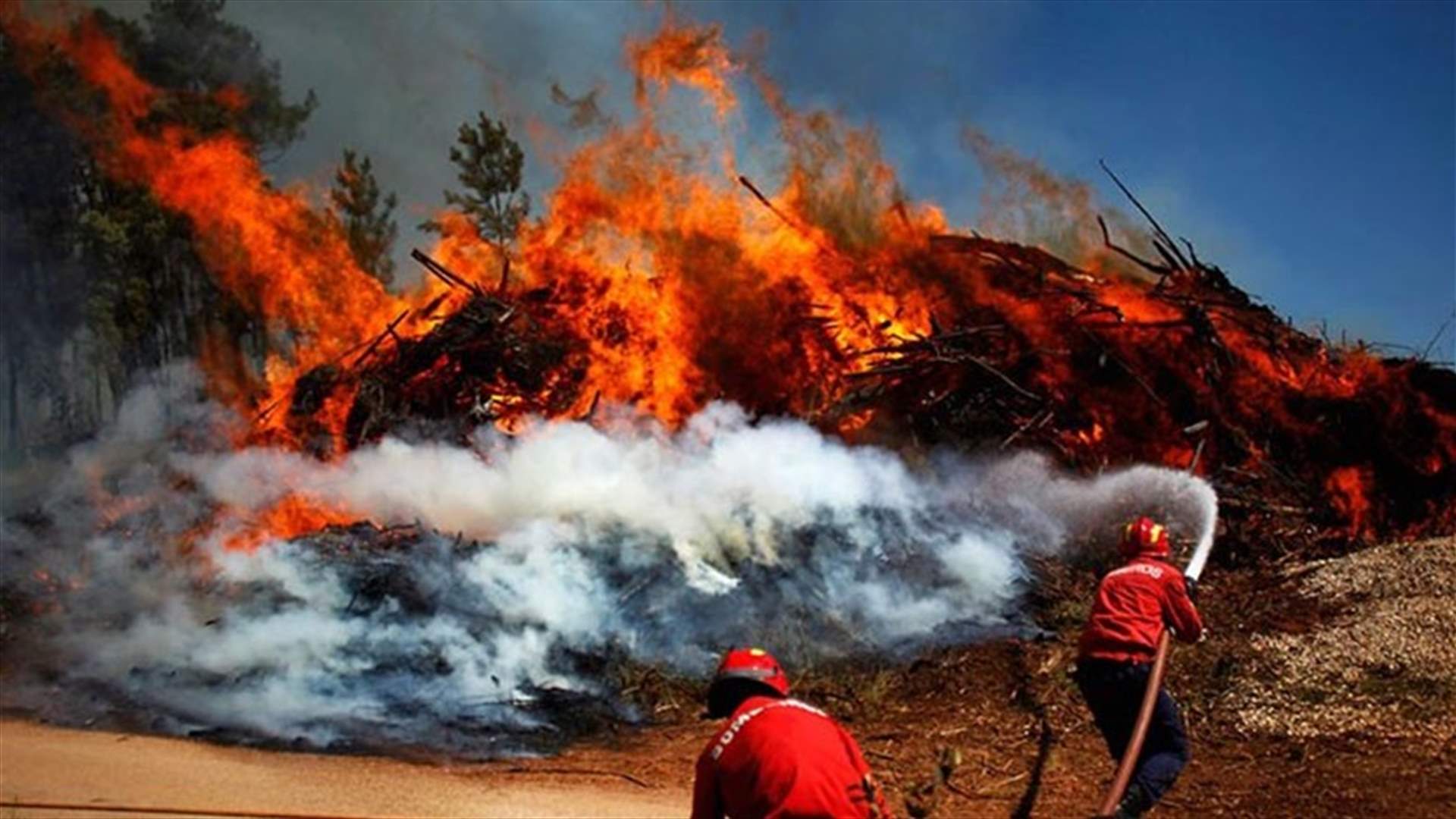 البرتغال تشهد مزيدا من الحرائق