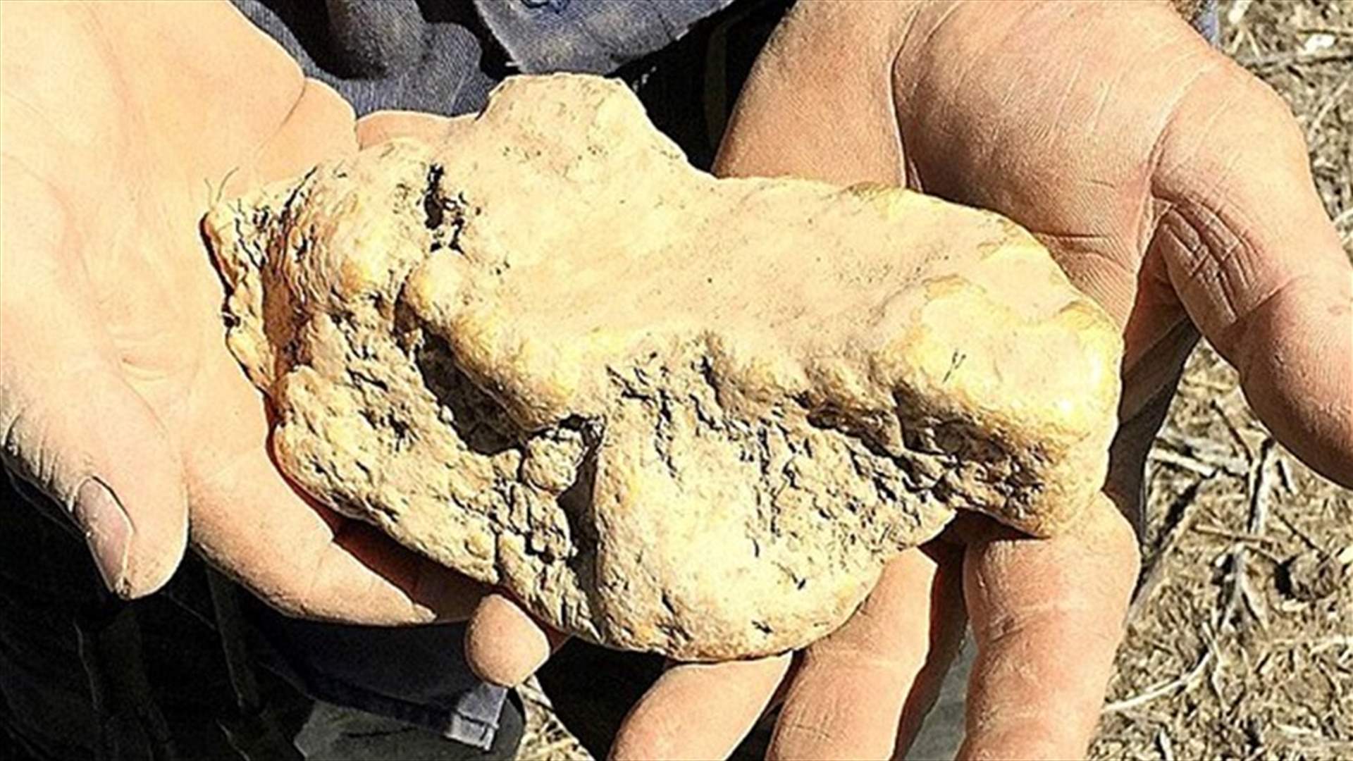 بالصورة: عثر على حجرٍ فريد من نوعه... غيّر حياته