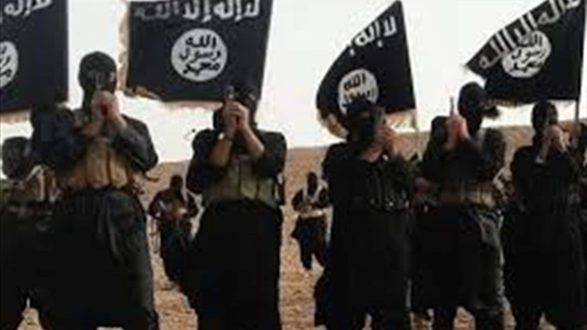Lebanese army arrests IS smuggler 