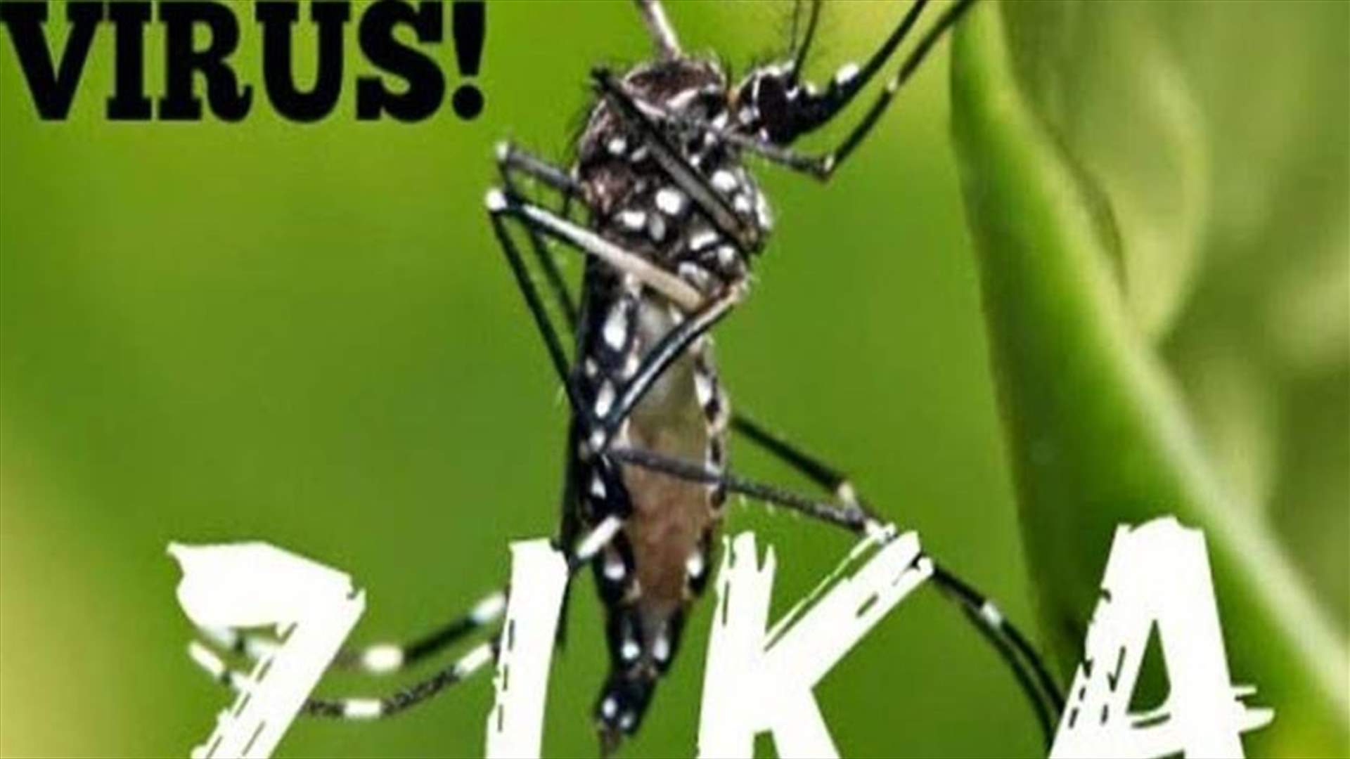 هيئة أميركية... تخوف من انتقال فيروس زيكا 