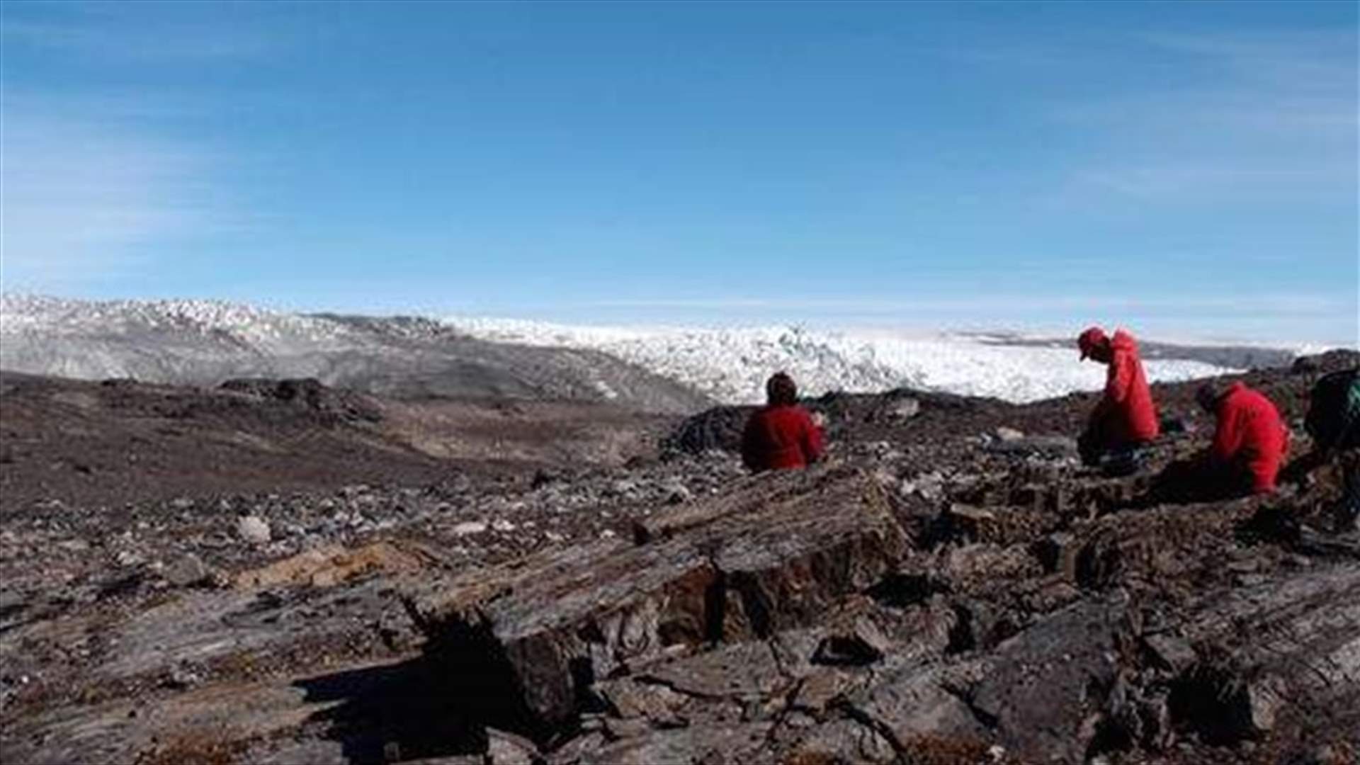 Scientists Find 3.7 Billion-Year-Old Fossil, Oldest Yet