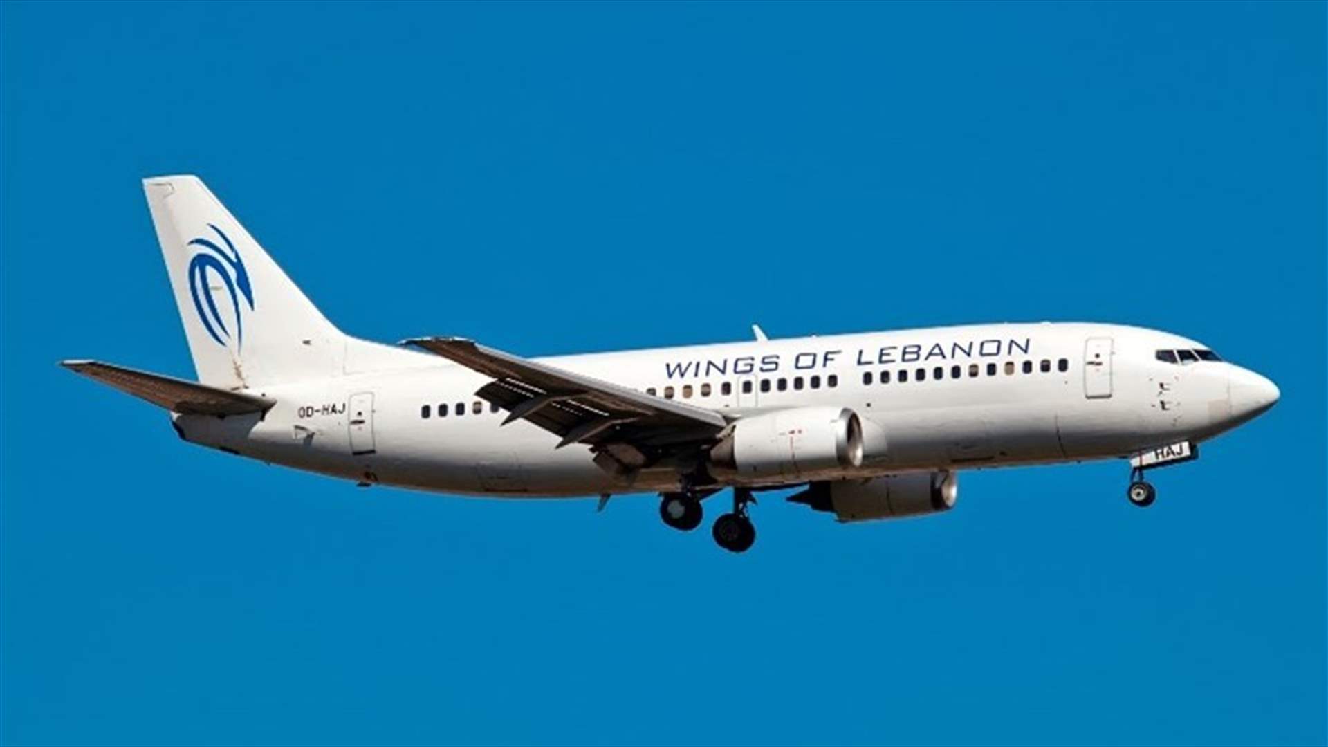 Jumblatt calls for banning Wings of Lebanon from using Beirut airport